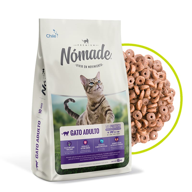 nomade gato